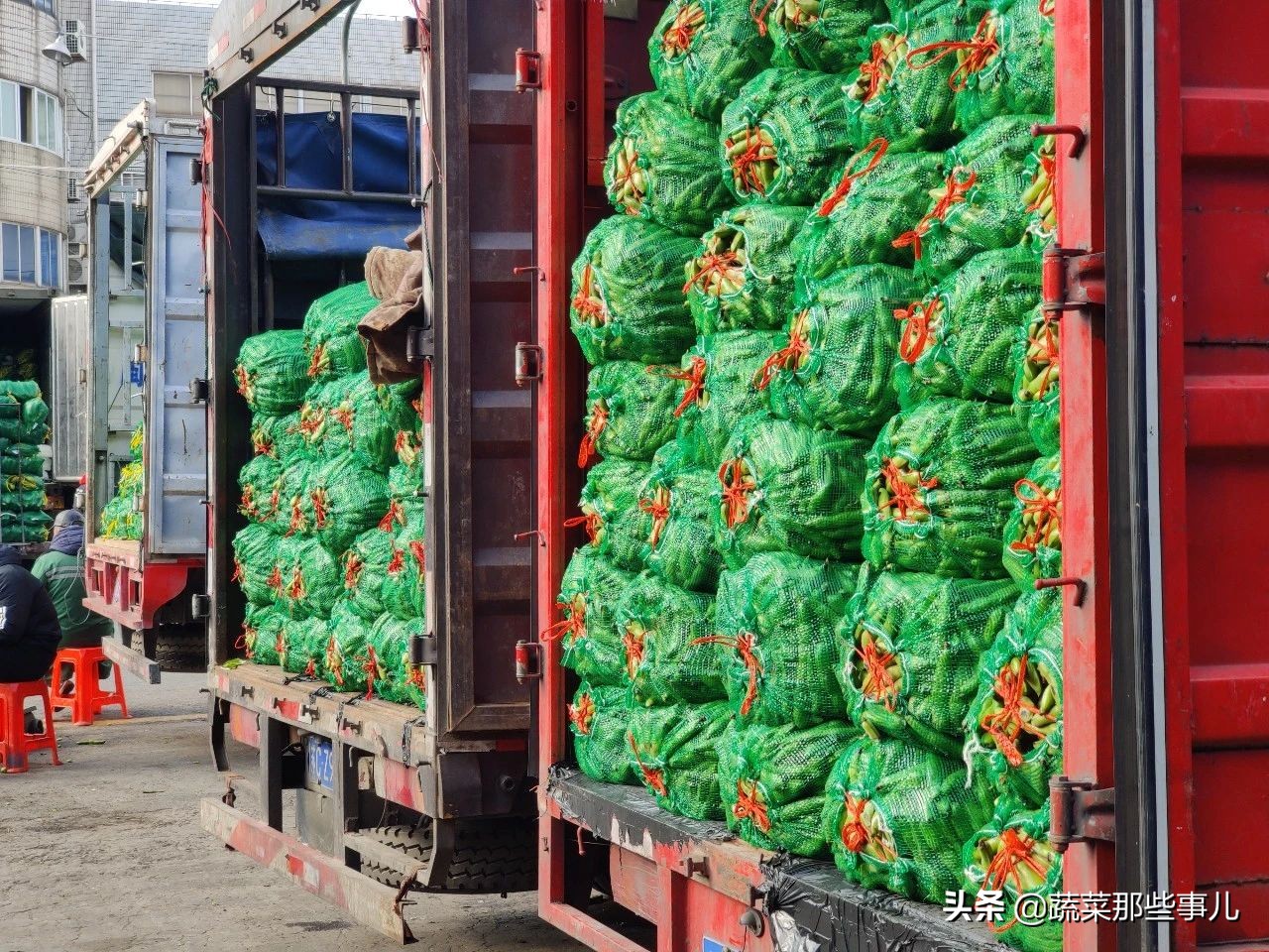 今日上海江桥带壳鲜蚕豆批发价,上海江桥批发市场蚕豆最新价格