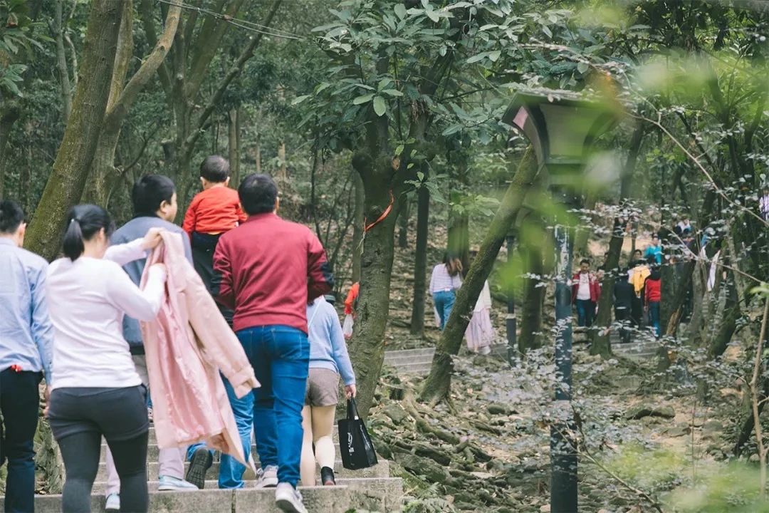 放假在深圳能去哪里玩,放假了可以去深圳的哪些地方玩