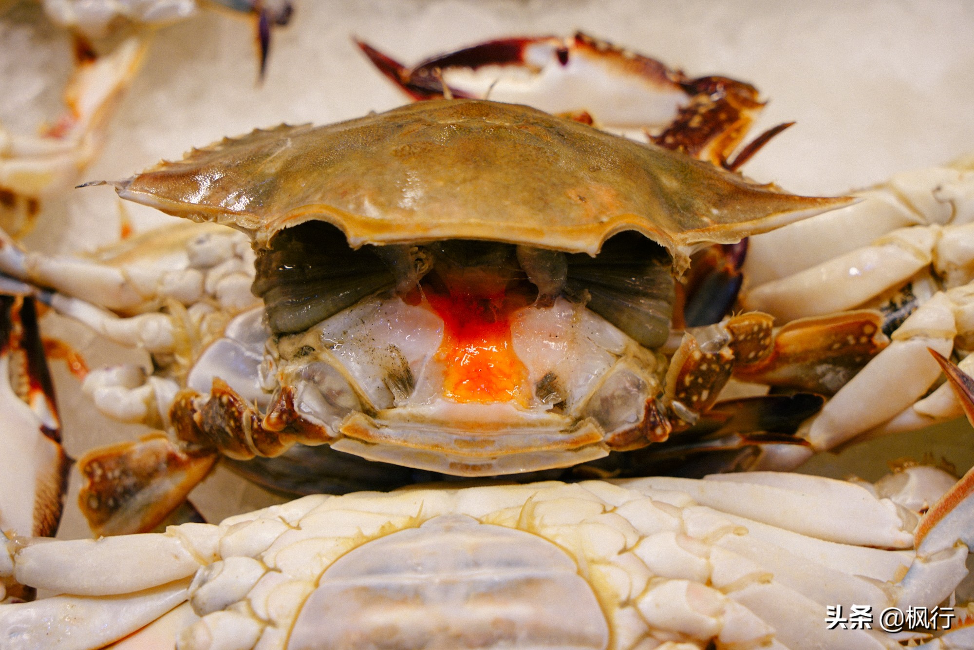 宁波市比较好吃的小吃,宁波有什么好吃的美食街吗