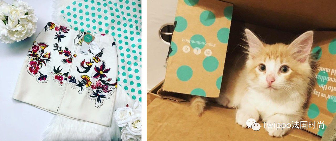 哪里买中古奢侈品,中古家具单品去哪里买便宜