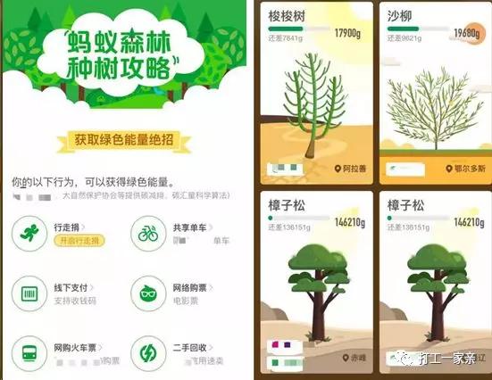 给迷茫中的我一个方向,迷茫时给我思路跟建议