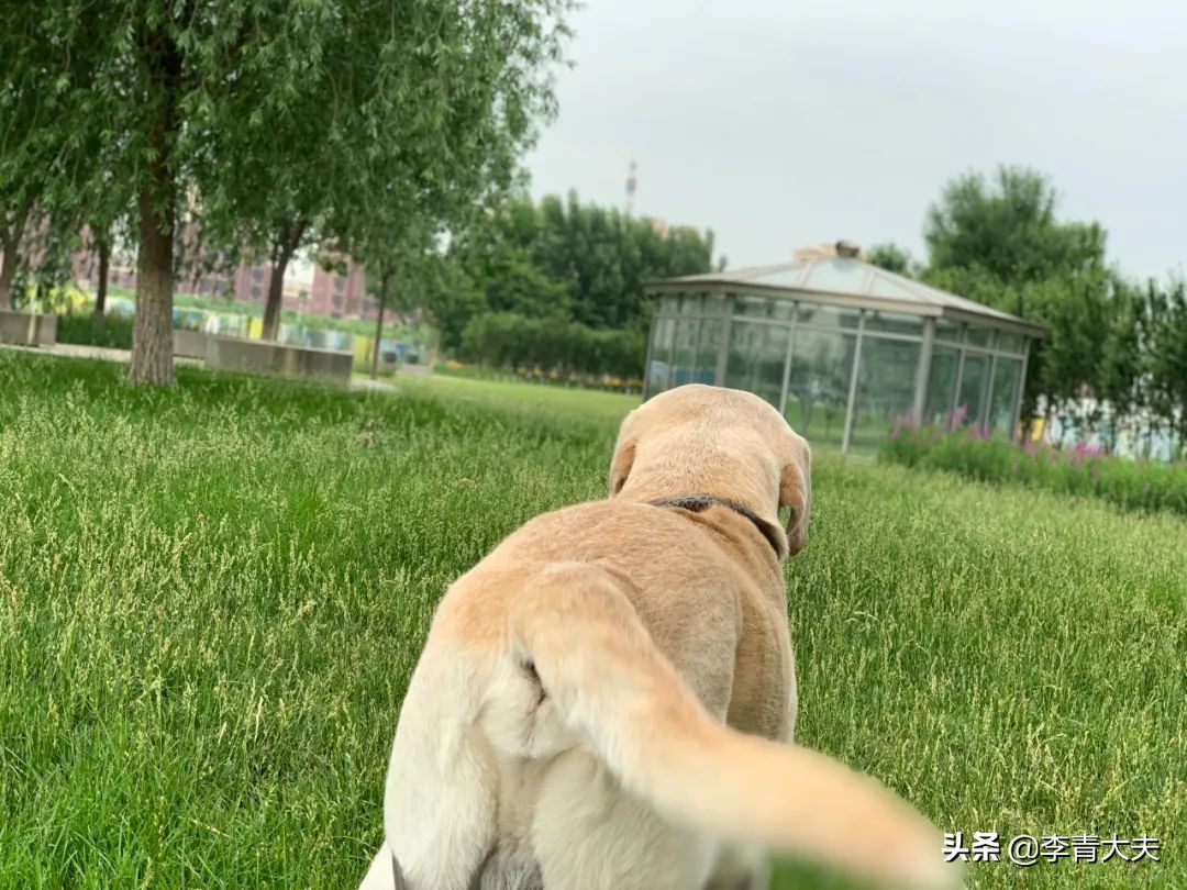 麦扣的家庭,麦扣的质感好物