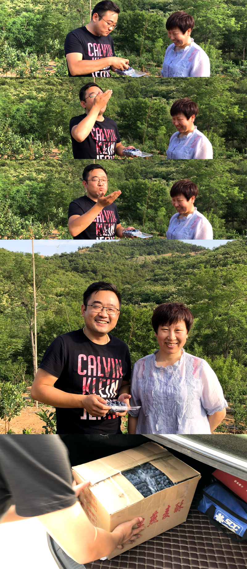 蓝莓的营养价值及野生功效与作用,蓝莓营养科普知识