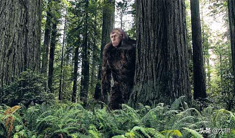 高加索野人之谜,高加索的女野人之谜