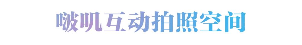 雅顿胶囊套装,雅顿胶囊