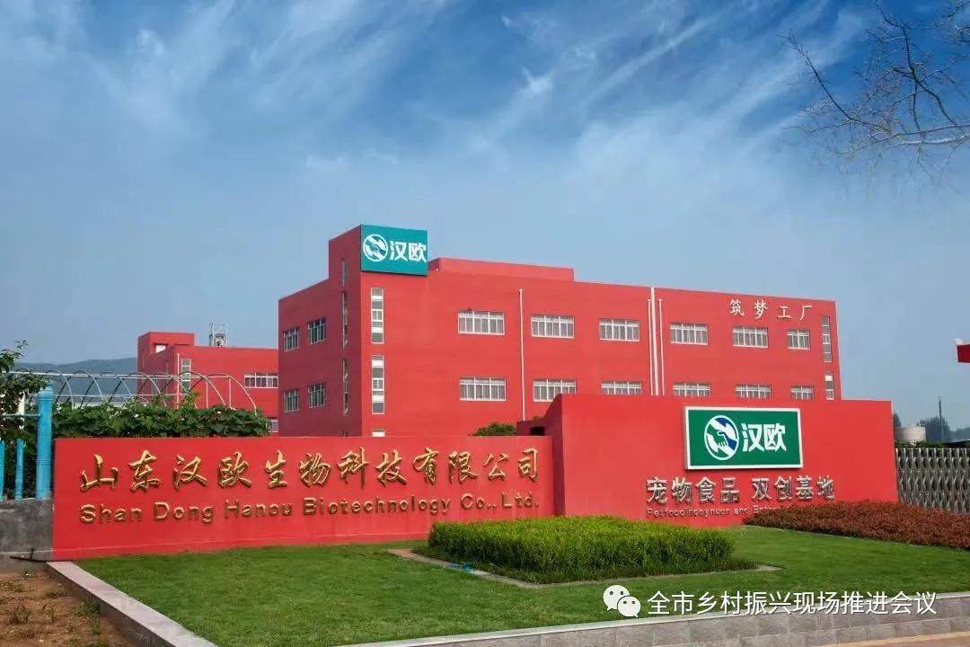 临沂市乡村振兴现场推进会临沭,沂南打造乡村振兴齐鲁样板