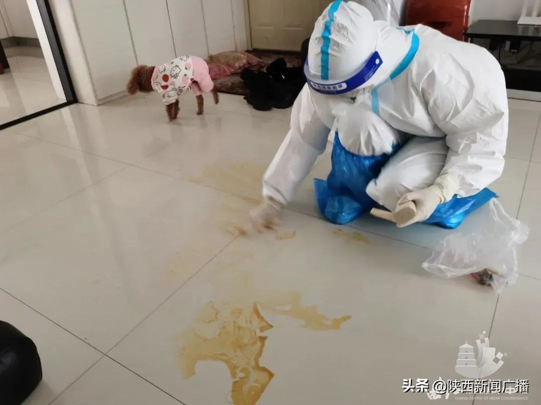 曲江南苑解封最新通报,西安隔离小区啥时候解封