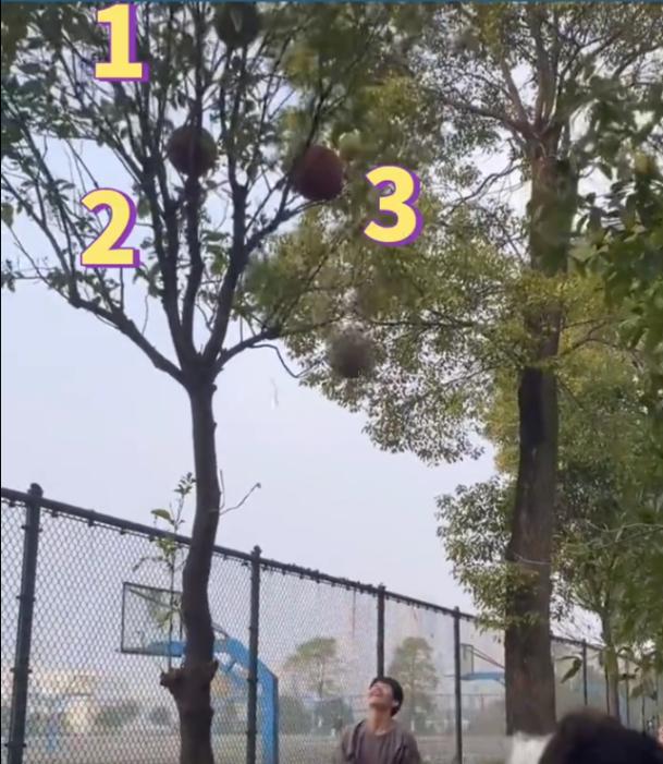 台湾远东集团被查处，国台办：绝不允许支持“*独台**”者在大陆赚钱！【三分钟法治新闻全知道】