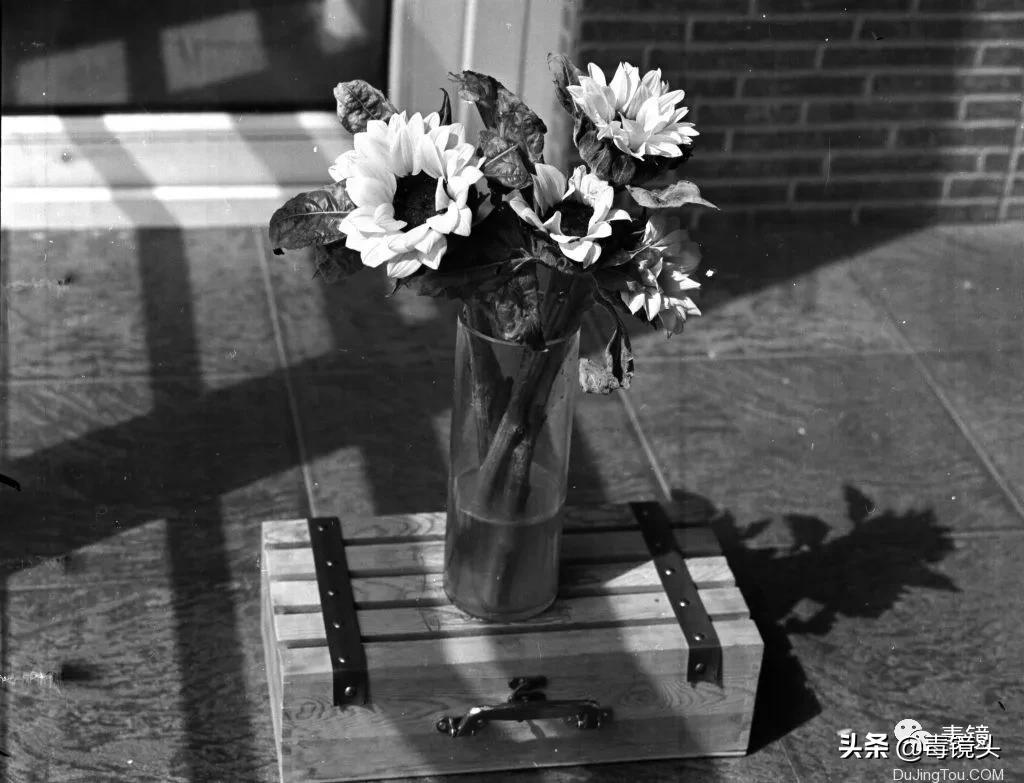 乐凯135黑白胶卷怎么样,乐凯飞机卷教学