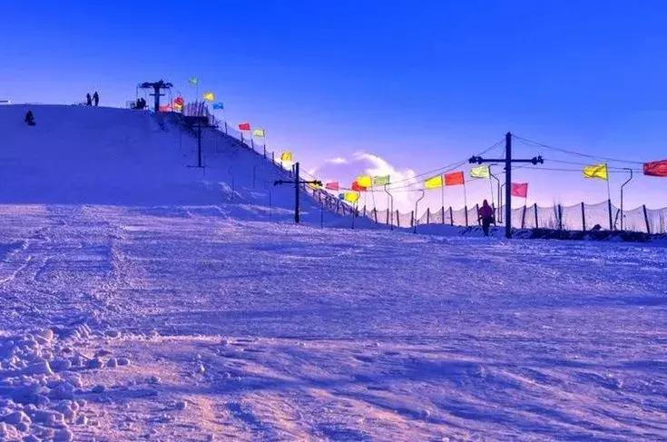 宁夏71个最美一日游打卡地,宁夏旅游一日游最佳攻略图