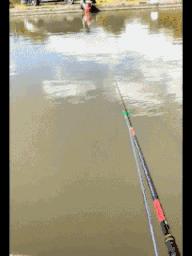 每日一笑998,每日一笑精彩评论