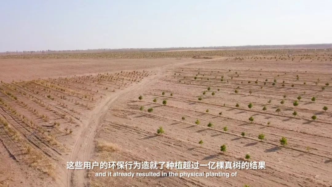 马来西亚创业好项目有哪些呢,马来西亚创业好项目有哪些