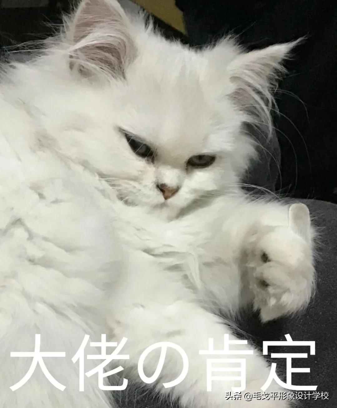 底妆教程持久不卡粉不脱妆混干皮,夏日底妆不脱妆雅诗兰黛