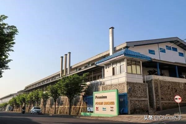 跟随帝声乐器参观世界著名吉他制造商之一Cort印度尼西亚工厂
