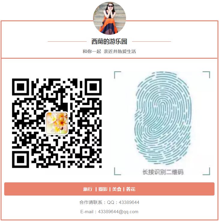 杰米克男士短袖t恤,杰米克男t恤官方旗舰店