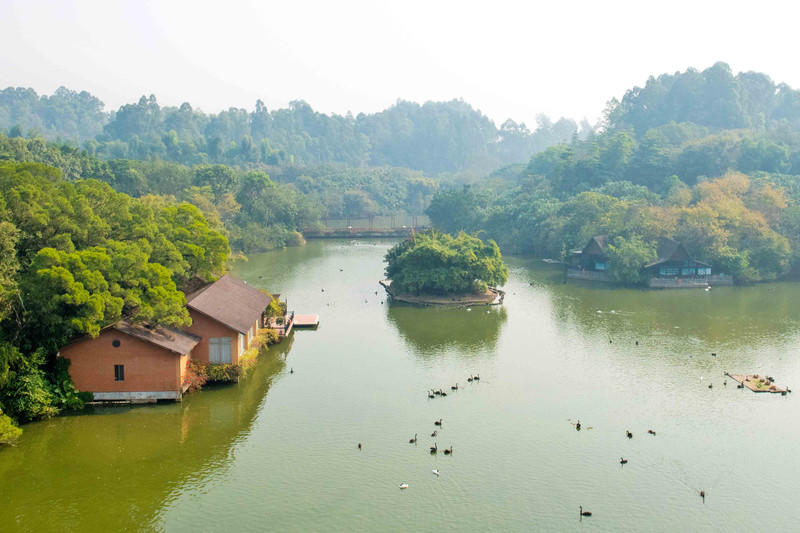玩转广州长隆野生动物世界之行,广州长隆动物世界游玩攻略图