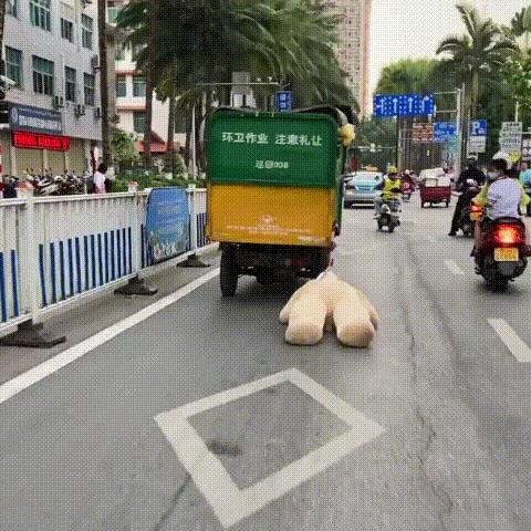 把中间的门店租下来取什么名字好,租下门面不知道取什么名字