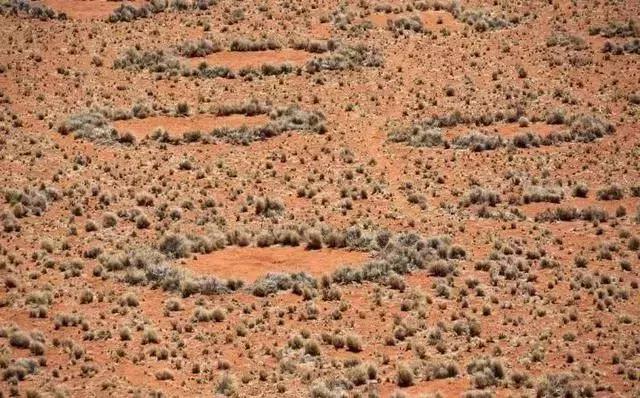 一半是沙漠一半是绿洲,一半沙漠一半海洋