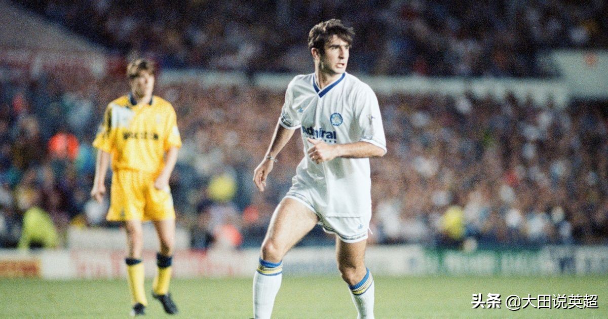 疯子来了,疯子来了全部小说