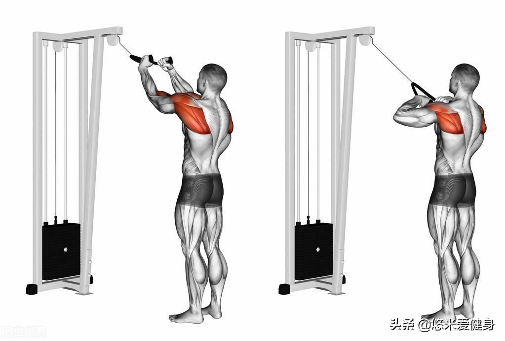 练肩部肌肉最佳的动作图解,球形肩部训练动作