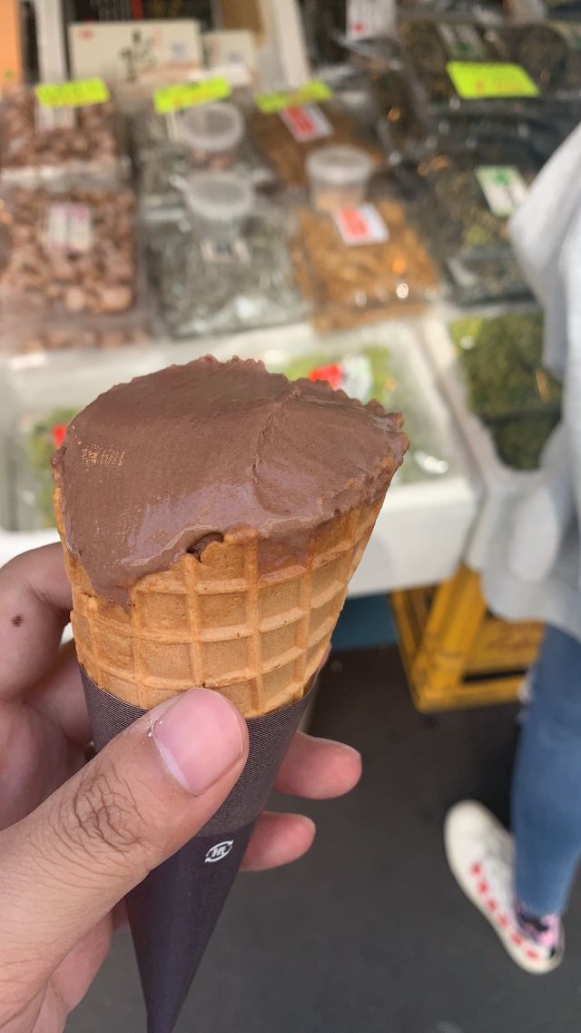 日本东京旅行攻略自由行,日本游记自由行攻略