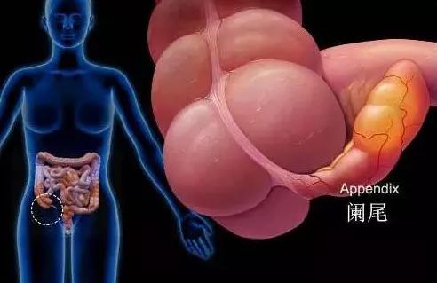 香蕉割包皮，洋葱剖腹产？这是我见过最秀的医生