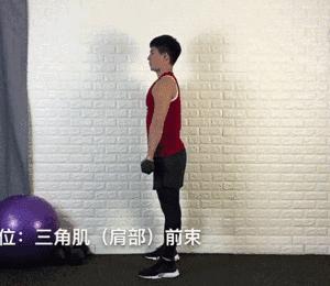 一副哑铃一个星期健身训练表,足不出户哑铃