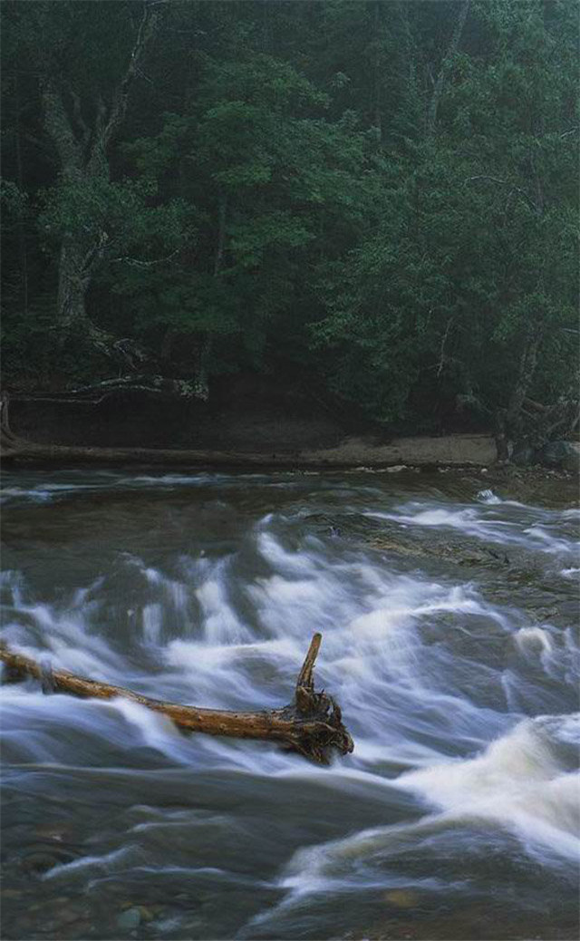 缓解眼睛疲劳动态图壁纸,好看的手机壁纸护眼高清图文