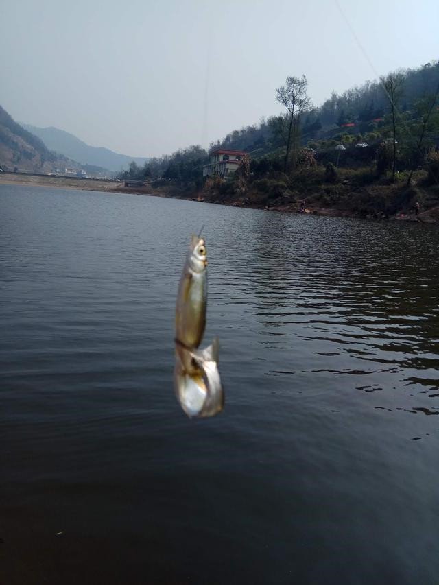 钓鱼渔获总是不如别人怎么回事，总结了六招给大家