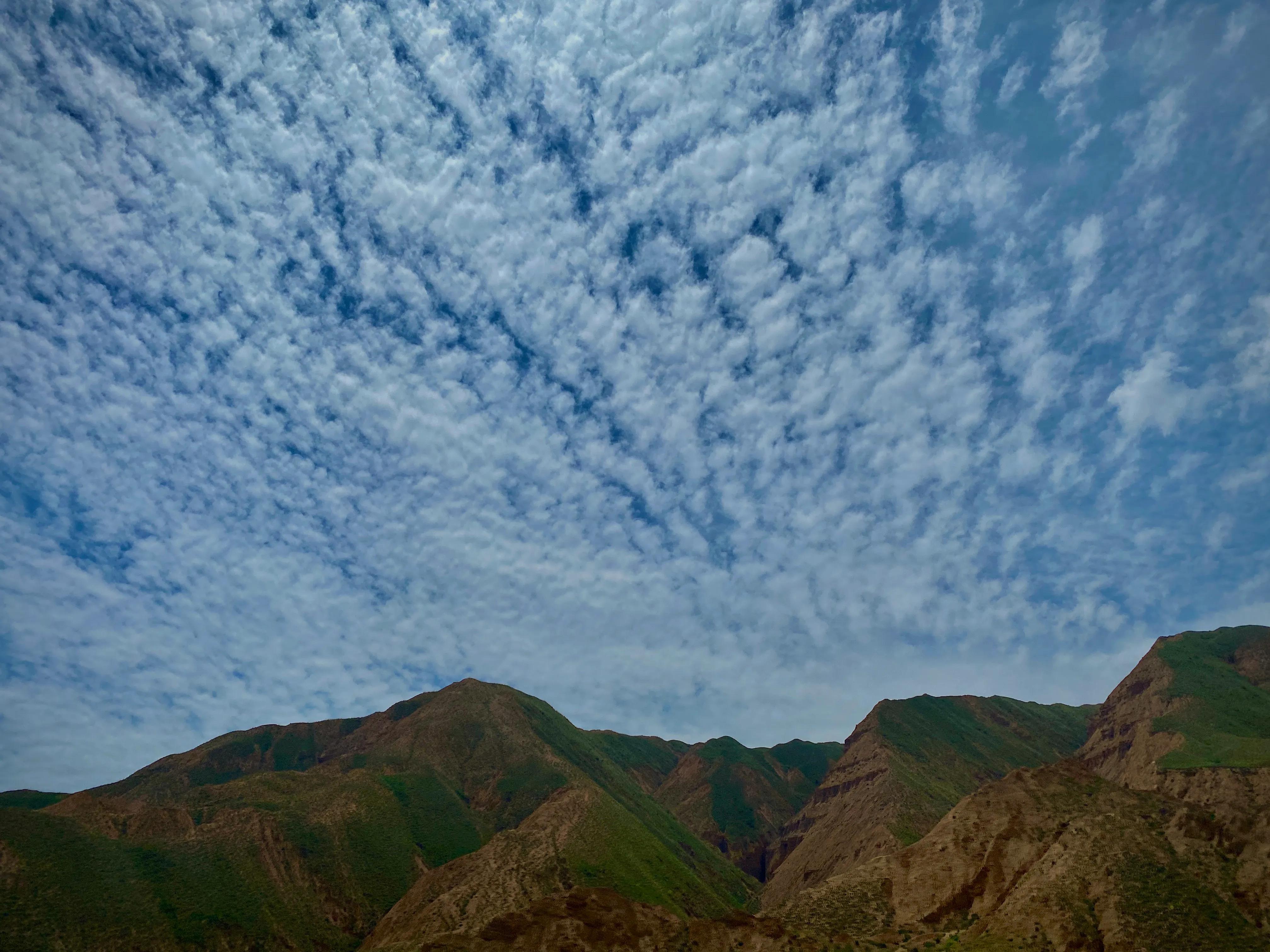 青海湖旅游租车攻略,骑行青海湖旅游攻略