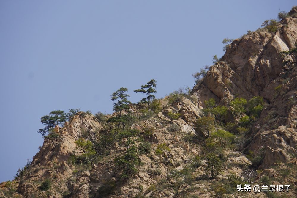 兰州金花娘娘在哪升天,金花娘娘成仙的地方