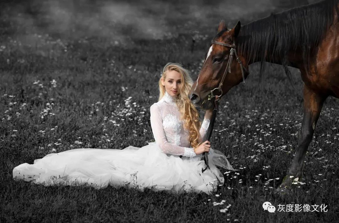 第四届国际风光摄影大赛,第四届国际摄影巡回赛