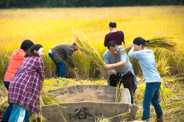 鄱湖之秋,鄱湖之滨信江之畔余干