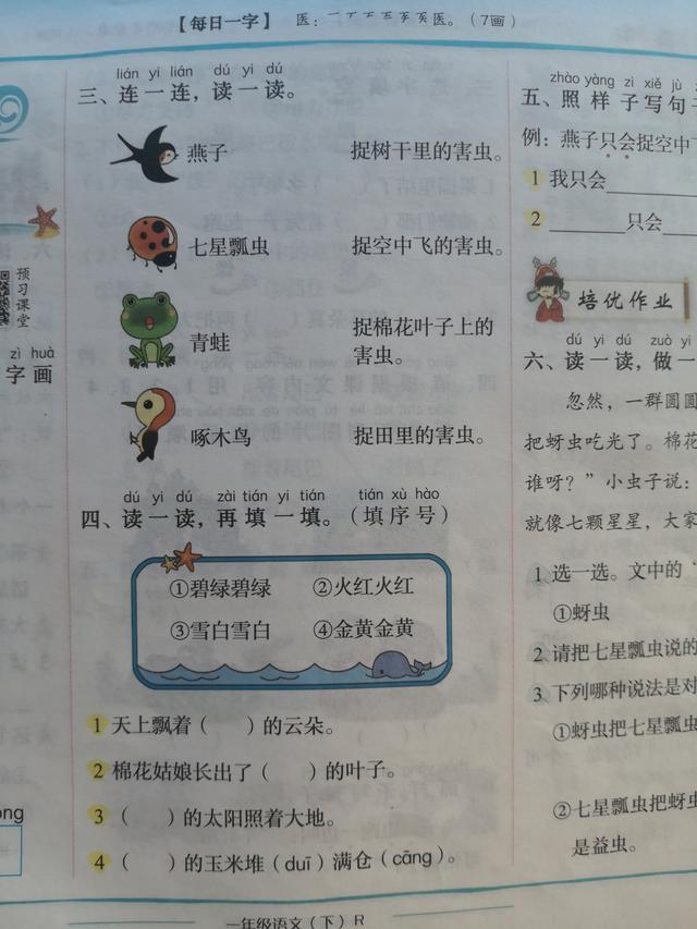 一年级下册棉花姑娘重点知识讲解,一年级棉花姑娘课文的重点知识