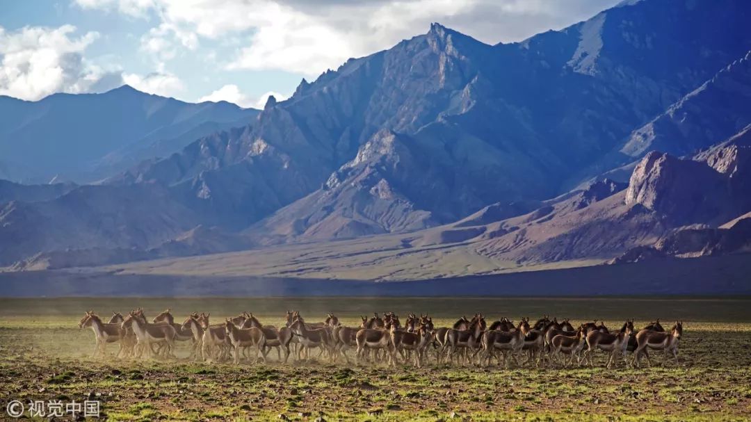 冷知识10个颠覆你认知的日本文 (古代100个绝对颠覆你认知的冷知识)