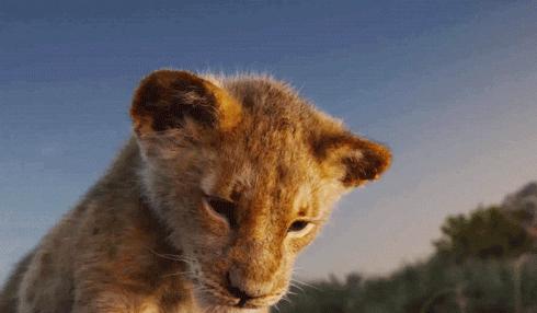 雷凌为什么是最好的车,为了面子买雷凌