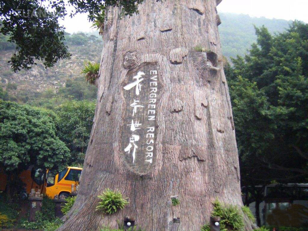 深圳青青世界,广东省深圳市的青青世界