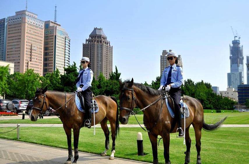 城市综合实力排名30名,中国城市综合实力排名大连