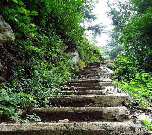 优秀作文《宁静的冬》从此风雨不急，带着那片静去追梦。