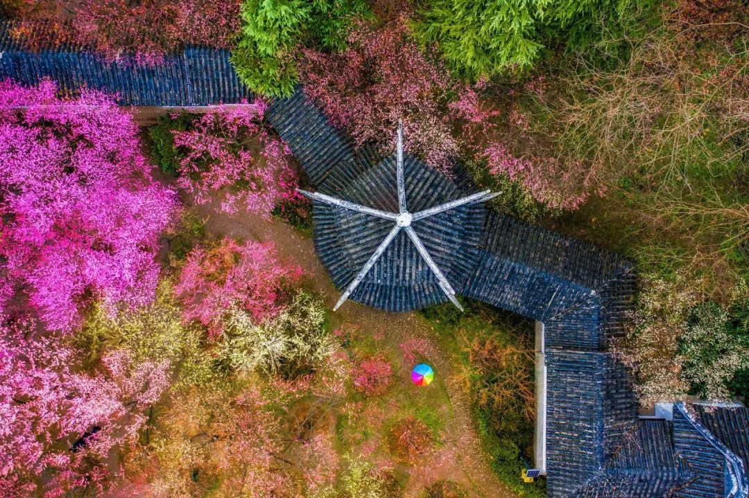 最漂亮的雨花台,雨花台风景太美了