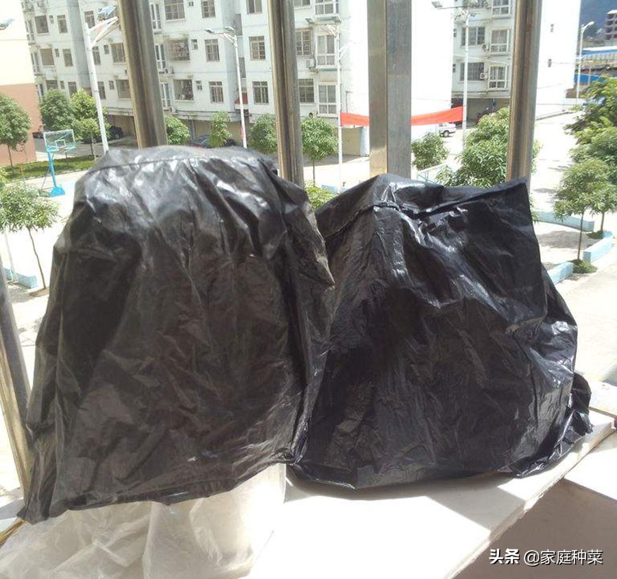 堆肥发霉怎么办,堆肥发臭很湿怎么补救