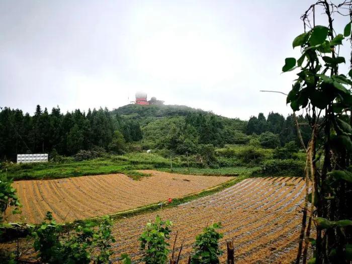 老段和老殷,老段和金段