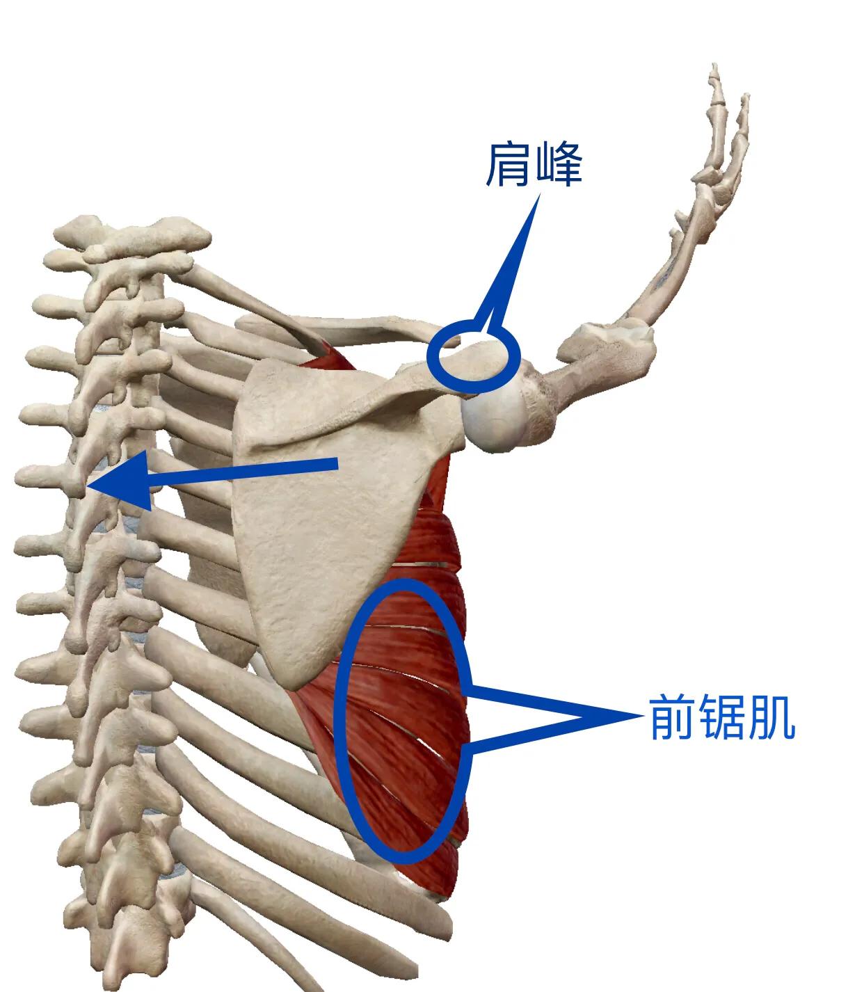 因为受风引起颈椎病眩晕喝什么药,颈椎病引起眩晕怎么办