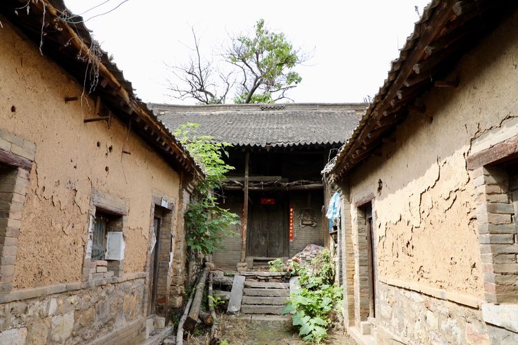 洛阳晚报作品,洛阳晚报2020年