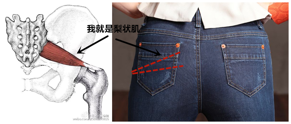 梨状肌和腰椎疼的区别,梨状肌和腰椎间盘有什么区别