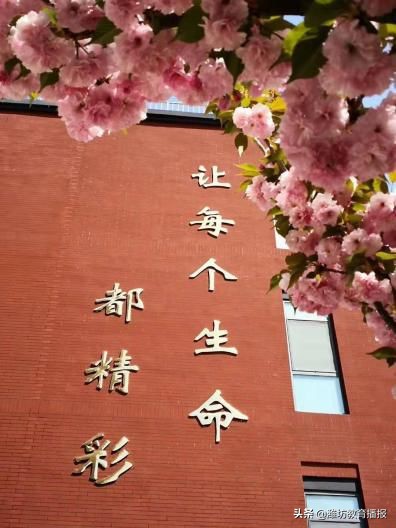 潍坊十中是最好的学校吗,潍坊十中63号教室