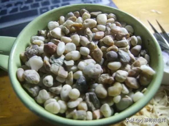 吃完的水果种子不要丢,吃完水果果核别扔