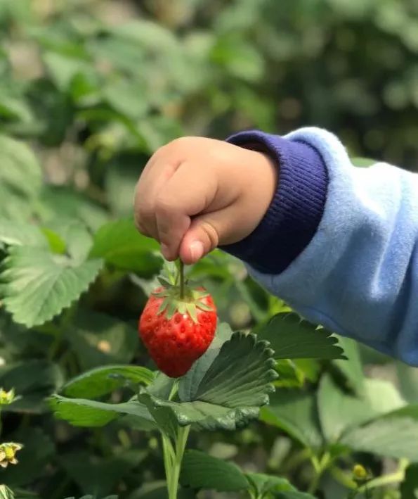 武汉带孩子吃喝游玩地方推荐,武汉吃喝玩乐指南