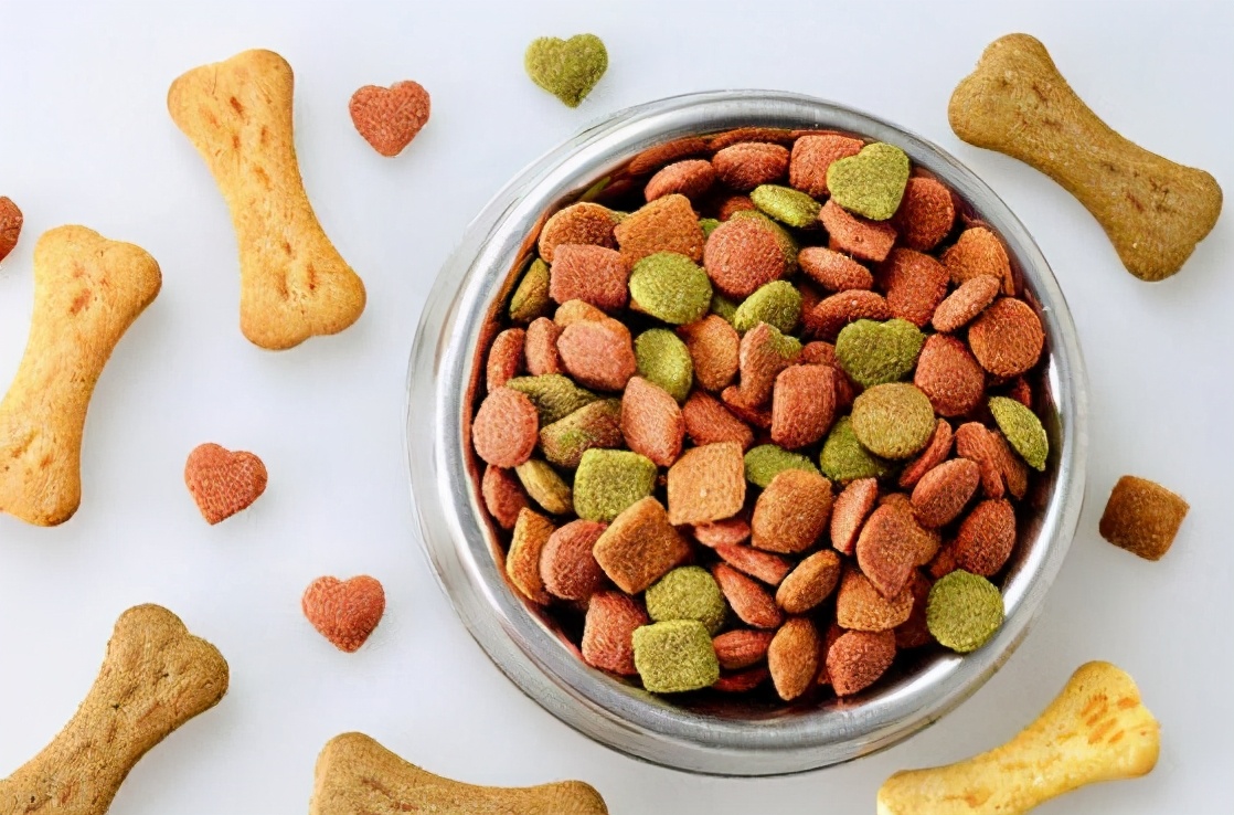 比熊突然不拉大便是什么原因,比熊突然不拉屎怎么回事