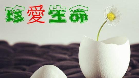 小伙子养了八年的乌龟生蛋了,养了6年巨型大乌龟终于下蛋了